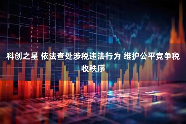 科创之星 依法查处涉税违法行为 维护公平竞争税收秩序