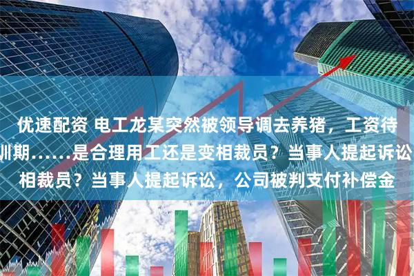 优速配资 电工龙某突然被领导调去养猪，工资待遇不变，还给3个月培训期……是合理用工还是变相裁员？当事人提起诉讼，公司被判支付补偿金