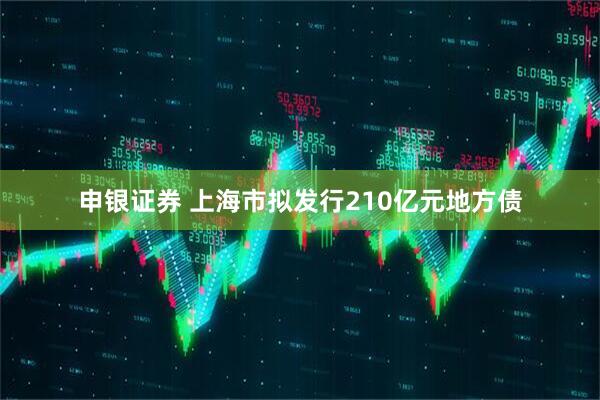 申银证券 上海市拟发行210亿元地方债